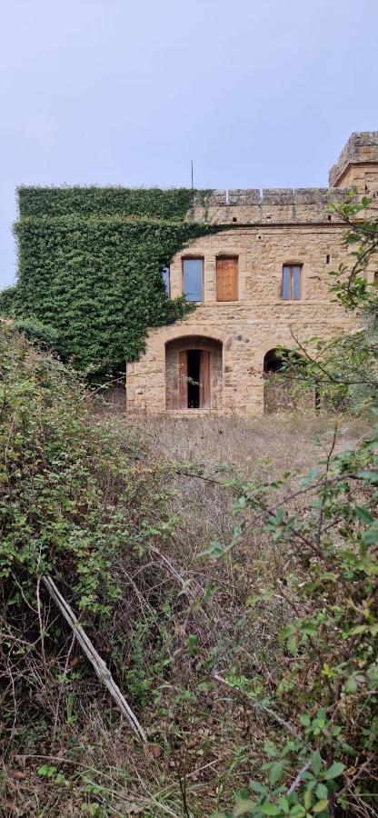 Calacta Casa Mia Caronia Kültér fotó